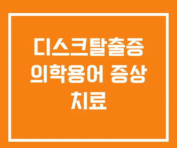 디스크탈출증 의학용어 증상 치료 디스크탈출증 의학용어 증상 치료
