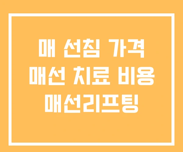 매 선침 가격 매선 치료 비용 매선리프팅 매 선침 가격 매선 치료 비용 매선리프팅