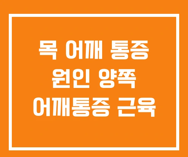 목 어깨 통증 원인 양쪽 어깨통증 근육