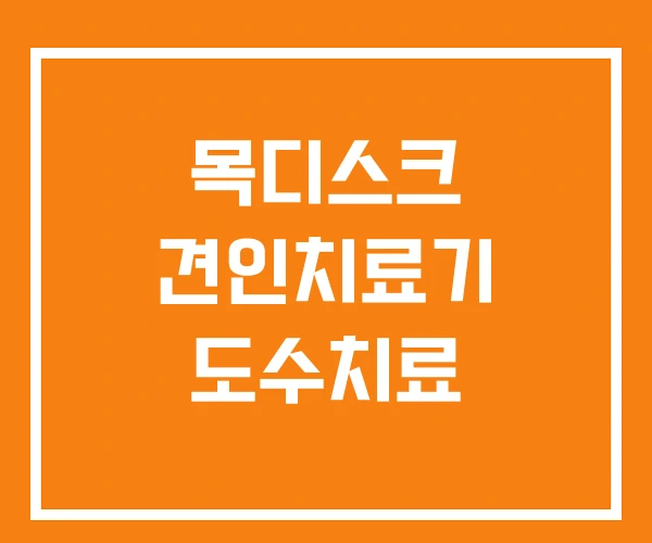 목디스크 견인치료기 도수치료 목디스크 견인치료기 도수치료