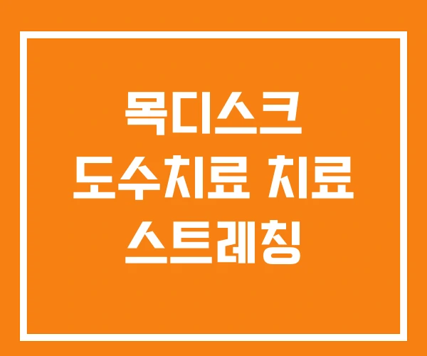 목디스크 도수치료 치료 스트레칭 목디스크 도수치료 치료 스트레칭
