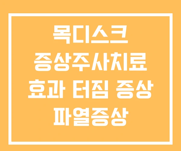 목디스크 증상주사치료 효과 터짐 증상 파열증상
