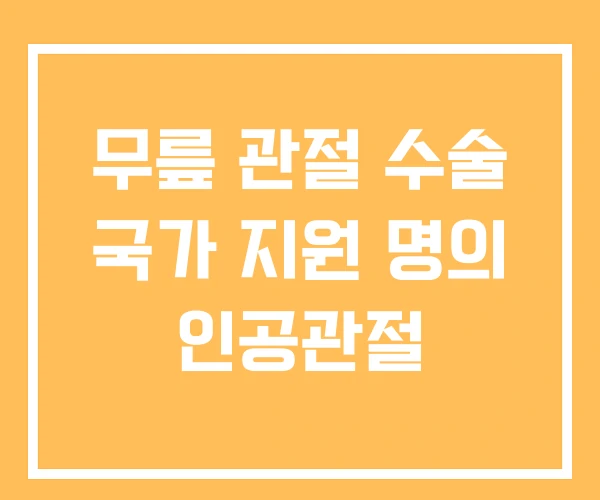 무릎 관절 수술 국가 지원 명의 인공관절
