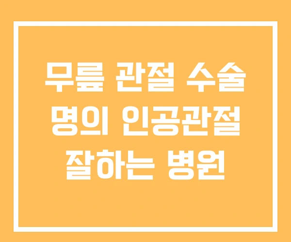 무릎 관절 수술 명의 인공관절 잘하는 병원