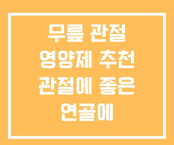 무릎 관절 영양제 추천 관절에 좋은 연골에