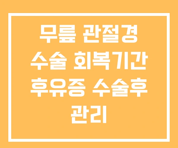 무릎 관절경 수술 회복기간 후유증 수술후 관리 무릎 관절경 수술 회복기간 후유증 수술후 관리