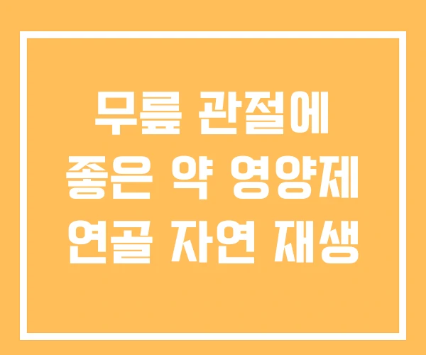 무릎 관절에 좋은 약 영양제 연골 자연 재생 무릎 관절에 좋은 약 영양제 연골 자연 재생