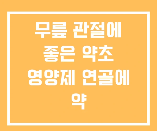 무릎 관절에 좋은 약초 영양제 연골에 약