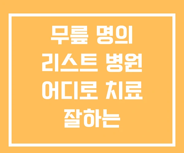 무릎 명의 리스트 병원 어디로 치료 잘하는