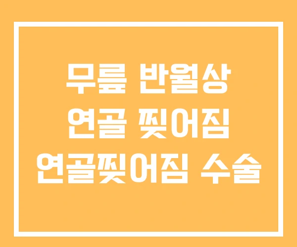 무릎 반월상 연골 찢어짐 연골찢어짐 수술