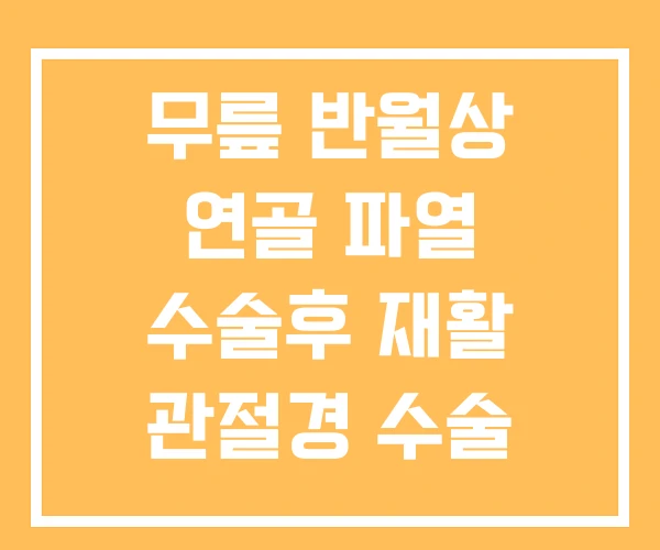 무릎 반월상 연골 파열 수술후 재활 관절경 수술 재활치료 무릎 반월상 연골 파열 수술후 재활 관절경 수술 재활치료