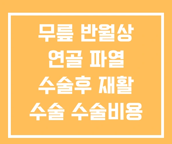 무릎 반월상 연골 파열 수술후 재활 수술 수술비용 무릎 반월상 연골 파열 수술후 재활 수술 수술비용