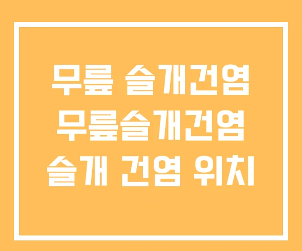 무릎 슬개건염 무릎슬개건염 슬개 건염 위치 무릎 슬개건염 무릎슬개건염 슬개 건염 위치