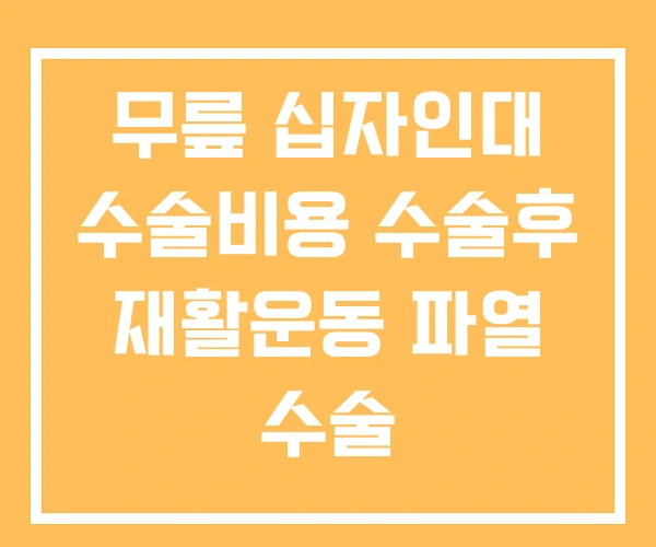 무릎 십자인대 수술비용 수술후 재활운동 파열 수술 무릎 십자인대 수술비용 수술후 재활운동 파열 수술