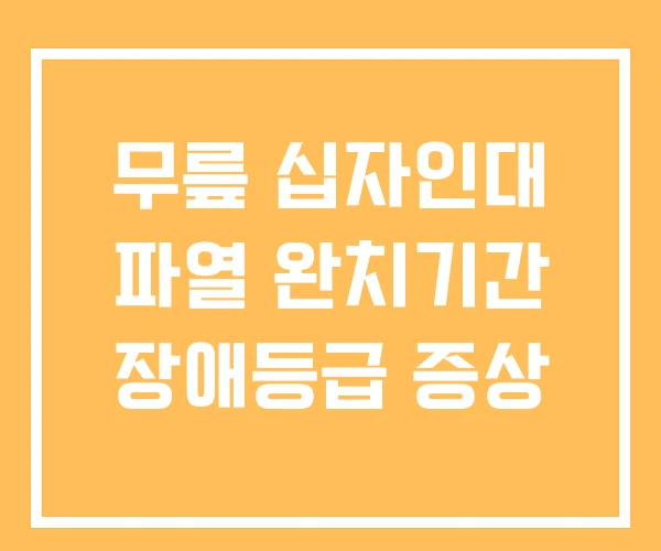 무릎 십자인대 파열 완치기간 장애등급 증상 무릎 십자인대 파열 완치기간 장애등급 증상