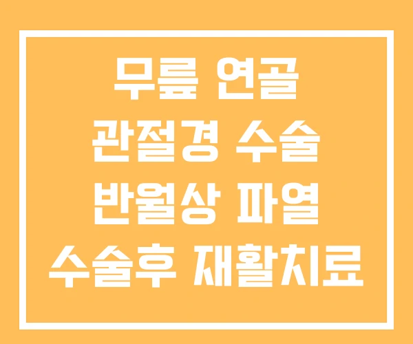 무릎 연골 관절경 수술 반월상 파열 수술후 재활치료 무릎 연골 관절경 수술 반월상 파열 수술후 재활치료