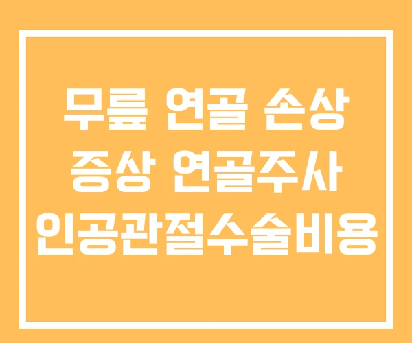 무릎 연골 손상 증상 연골주사 인공관절수술비용