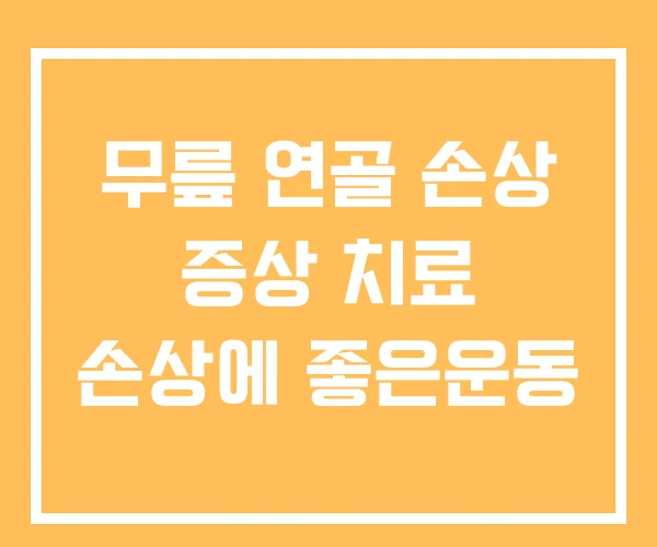 무릎 연골 손상 증상 치료 손상에 좋은운동