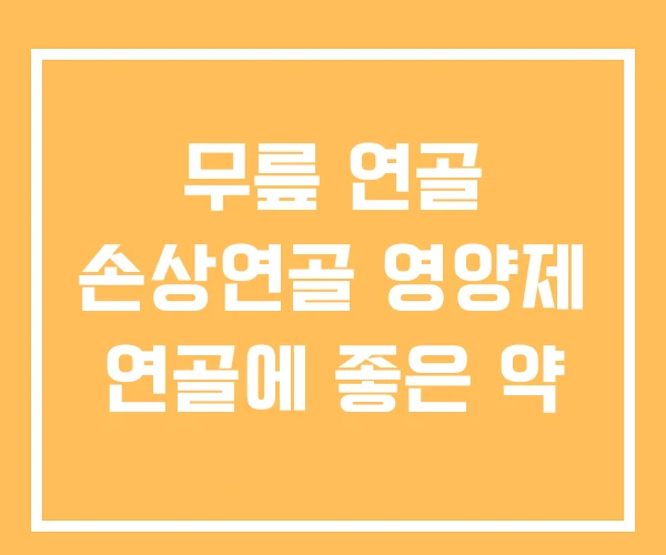 무릎 연골 손상연골 영양제 연골에 좋은 약