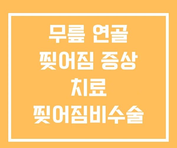 무릎 연골 찢어짐 증상 치료 찢어짐비수술 무릎 연골 찢어짐 증상 치료 찢어짐비수술
