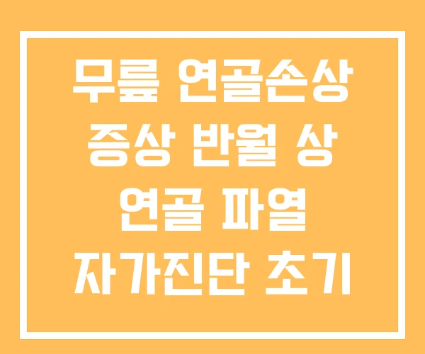무릎 연골손상 증상 반월 상 연골 파열 자가진단 초기