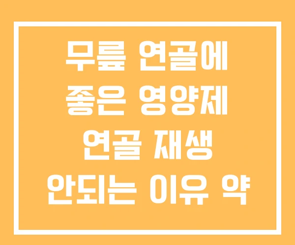 무릎 연골에 좋은 영양제 연골 재생 안되는 이유 약 무릎 연골에 좋은 영양제 연골 재생 안되는 이유 약