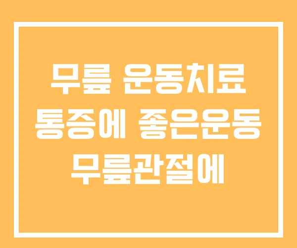 무릎 운동치료 통증에 좋은운동 무릎관절에 무릎 운동치료 통증에 좋은운동 무릎관절에