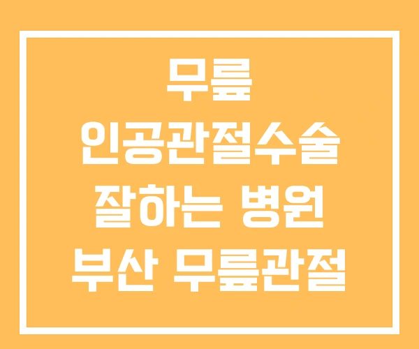 무릎 인공관절수술 잘하는 병원 부산 무릎관절 수술 창원 무릎 인공관절수술 잘하는 병원 부산 무릎관절 수술 창원