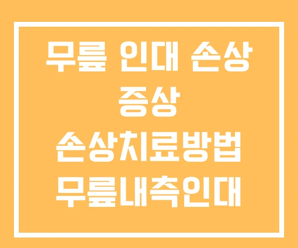 무릎 인대 손상 증상 손상치료방법 무릎내측인대 미세손상 무릎 인대 손상 증상 손상치료방법 무릎내측인대 미세손상