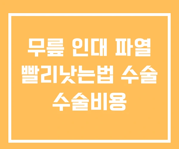 무릎 인대 파열 빨리낫는법 수술 수술비용 무릎 인대 파열 빨리낫는법 수술 수술비용