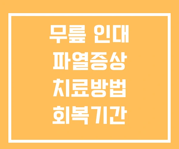 무릎 인대 파열증상 치료방법 회복기간 무릎 인대 파열증상 치료방법 회복기간