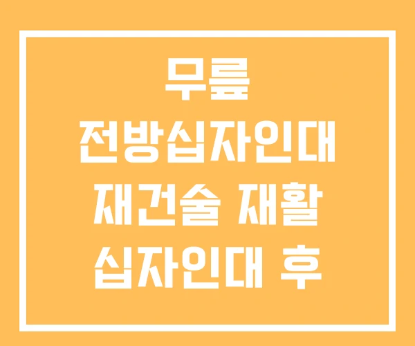 무릎 전방십자인대 재건술 재활 십자인대 후 보행가능 시기 무릎 전방십자인대 재건술 재활 십자인대 후 보행가능 시기