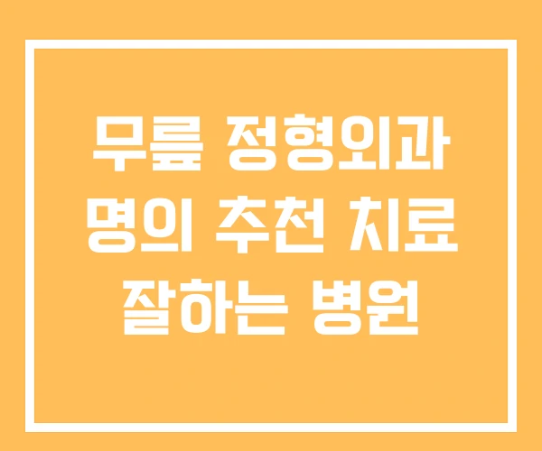 무릎 정형외과 명의 추천 치료 잘하는 병원 무릎 정형외과 명의 추천 치료 잘하는 병원