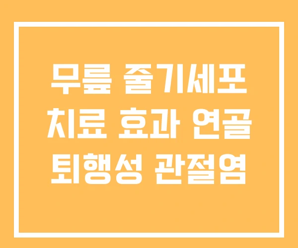 무릎 줄기세포 치료 효과 연골 퇴행성 관절염