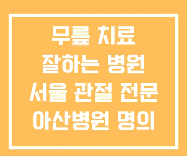 무릎 치료 잘하는 병원 서울 관절 전문 아산병원 명의 무릎 치료 잘하는 병원 서울 관절 전문 아산병원 명의