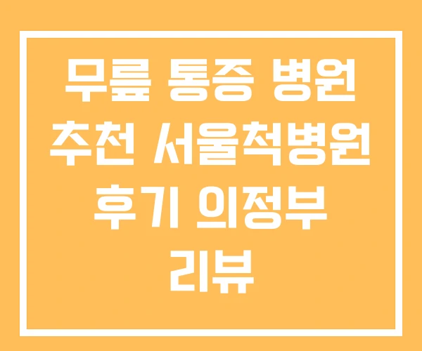 무릎 통증 병원 추천 서울척병원 후기 의정부 리뷰 무릎 통증 병원 추천 서울척병원 후기 의정부 리뷰