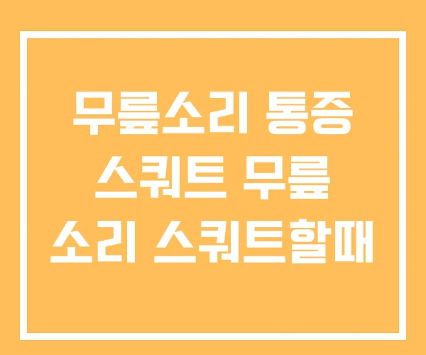 무릎소리 통증 스쿼트 무릎 소리 스쿼트할때 무릎소리 통증 스쿼트 무릎 소리 스쿼트할때