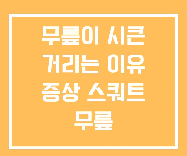 무릎이 시큰 거리는 이유 증상 스쿼트 무릎 무릎이 시큰 거리는 이유 증상 스쿼트 무릎