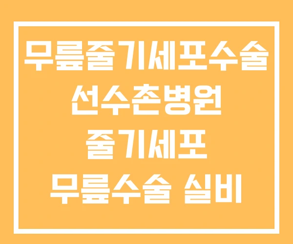 무릎줄기세포수술 선수촌병원 줄기세포 무릎수술 실비 후기 무릎줄기세포수술 선수촌병원 줄기세포 무릎수술 실비 후기