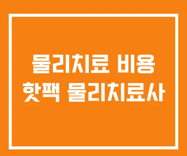 물리치료 비용 핫팩 물리치료사 물리치료 비용 핫팩 물리치료사