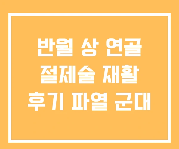 반월 상 연골 절제술 재활 후기 파열 군대