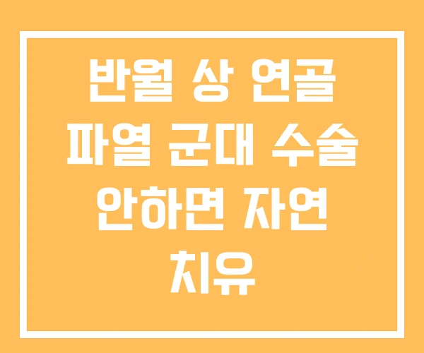 반월 상 연골 파열 군대 수술 안하면 자연 치유 반월 상 연골 파열 군대 수술 안하면 자연 치유