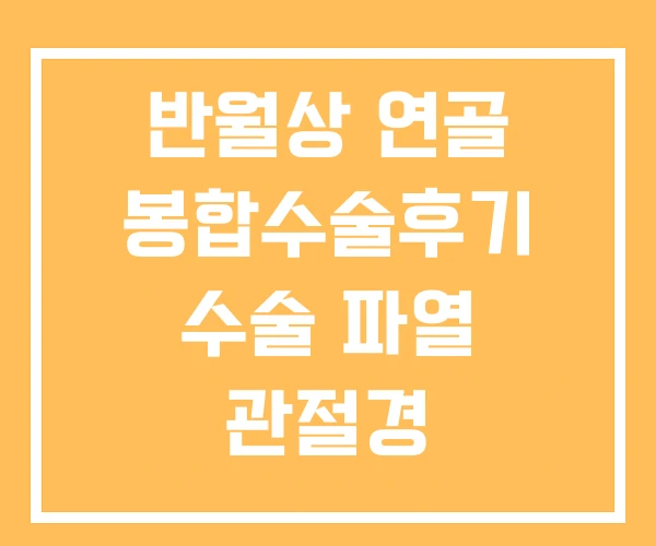 반월상 연골 봉합수술후기 수술 파열 관절경 반월상 연골 봉합수술후기 수술 파열 관절경