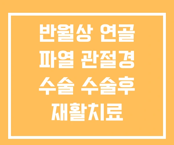 반월상 연골 파열 관절경 수술 수술후 재활치료 반월상 연골 파열 관절경 수술 수술후 재활치료
