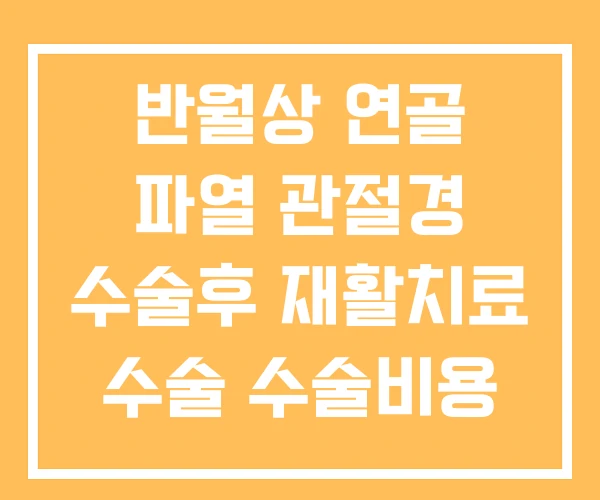 반월상 연골 파열 관절경 수술후 재활치료 수술 수술비용 반월상 연골 파열 관절경 수술후 재활치료 수술 수술비용