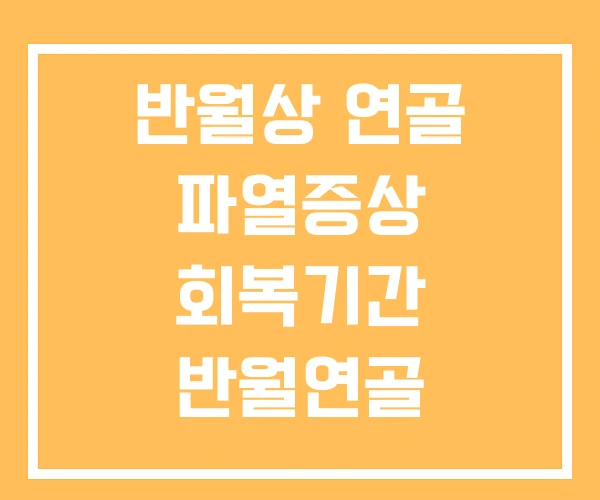 반월상 연골 파열증상 회복기간 반월연골 반월상 연골 파열증상 회복기간 반월연골