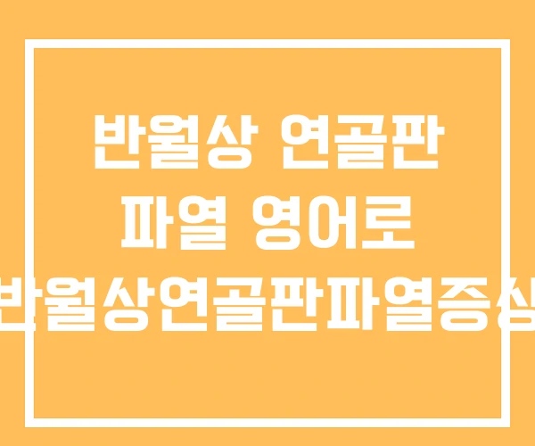 반월상 연골판 파열 영어로 반월상연골판파열증상 반월상 연골판 파열 영어로 반월상연골판파열증상