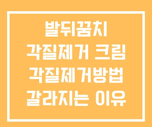 발뒤꿈치 각질제거 크림 각질제거방법 갈라지는 이유