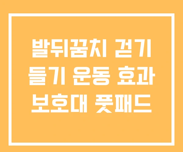 발뒤꿈치 걷기 들기 운동 효과 보호대 풋패드