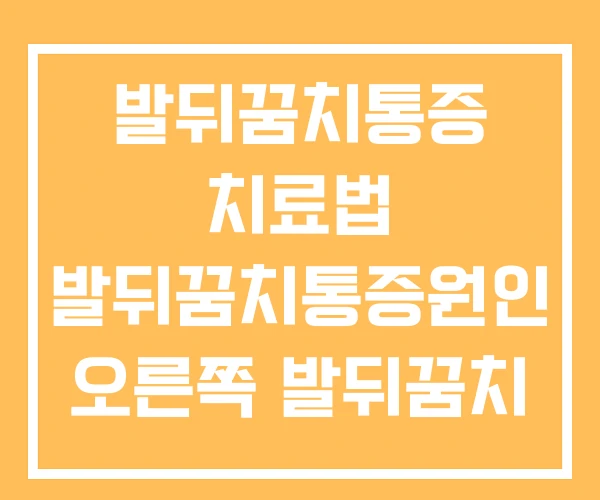 발뒤꿈치통증 치료법 발뒤꿈치통증원인 오른쪽 발뒤꿈치 통증